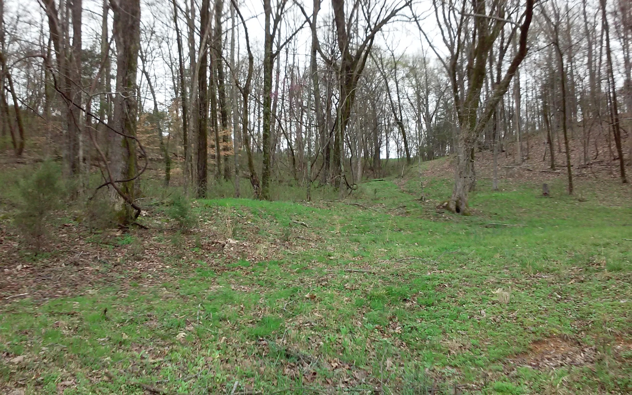 8200 Bethel Road Prospect, TN 38477 - Photo 42 of 50 a big yard with lots of green space and deers