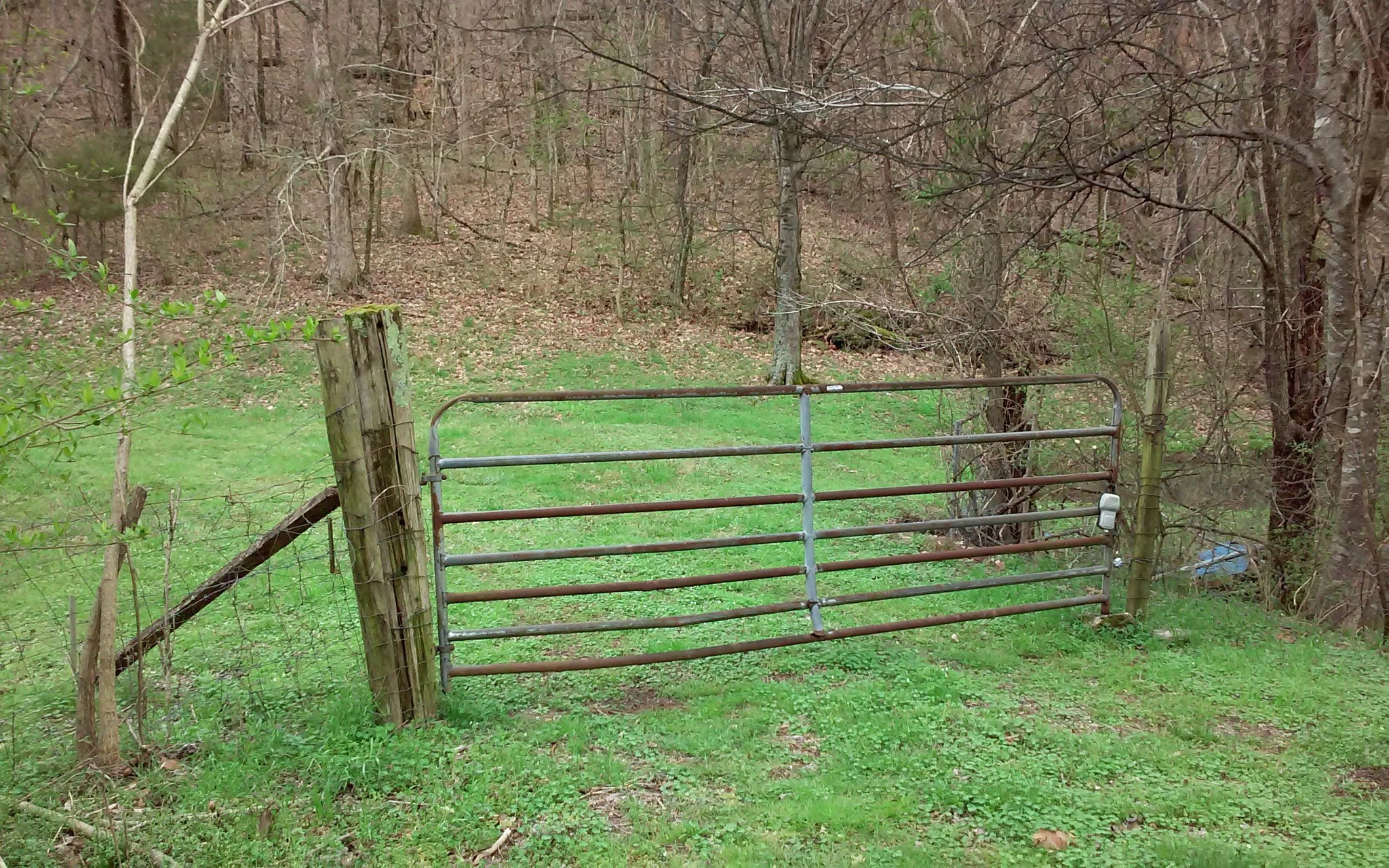 8200 Bethel Road Prospect, TN 38477 - Photo 43 of 50 a green field with lots of trees in the background