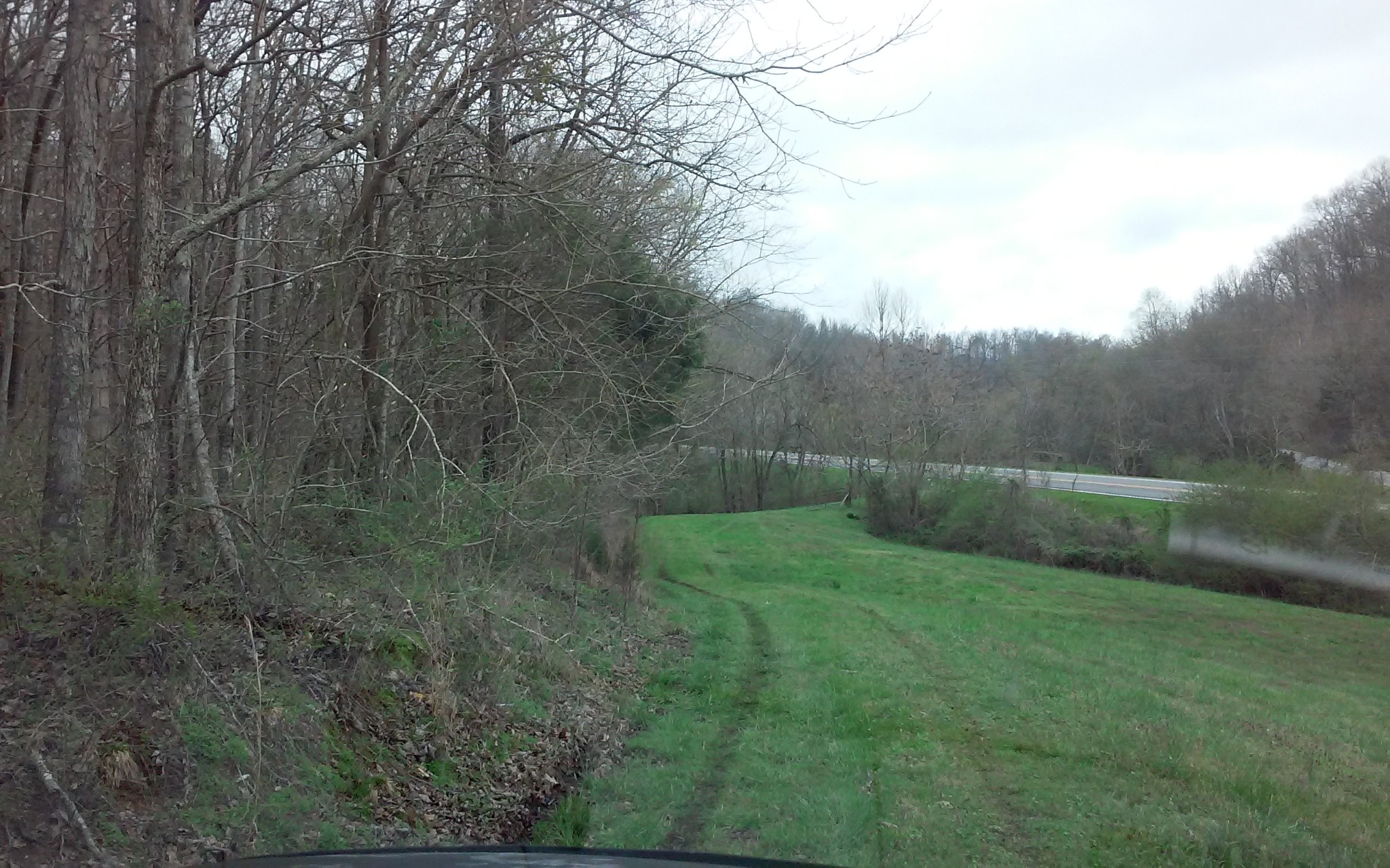 8200 Bethel Road Prospect, TN 38477 - Photo 50 of 50 a view of a backyard