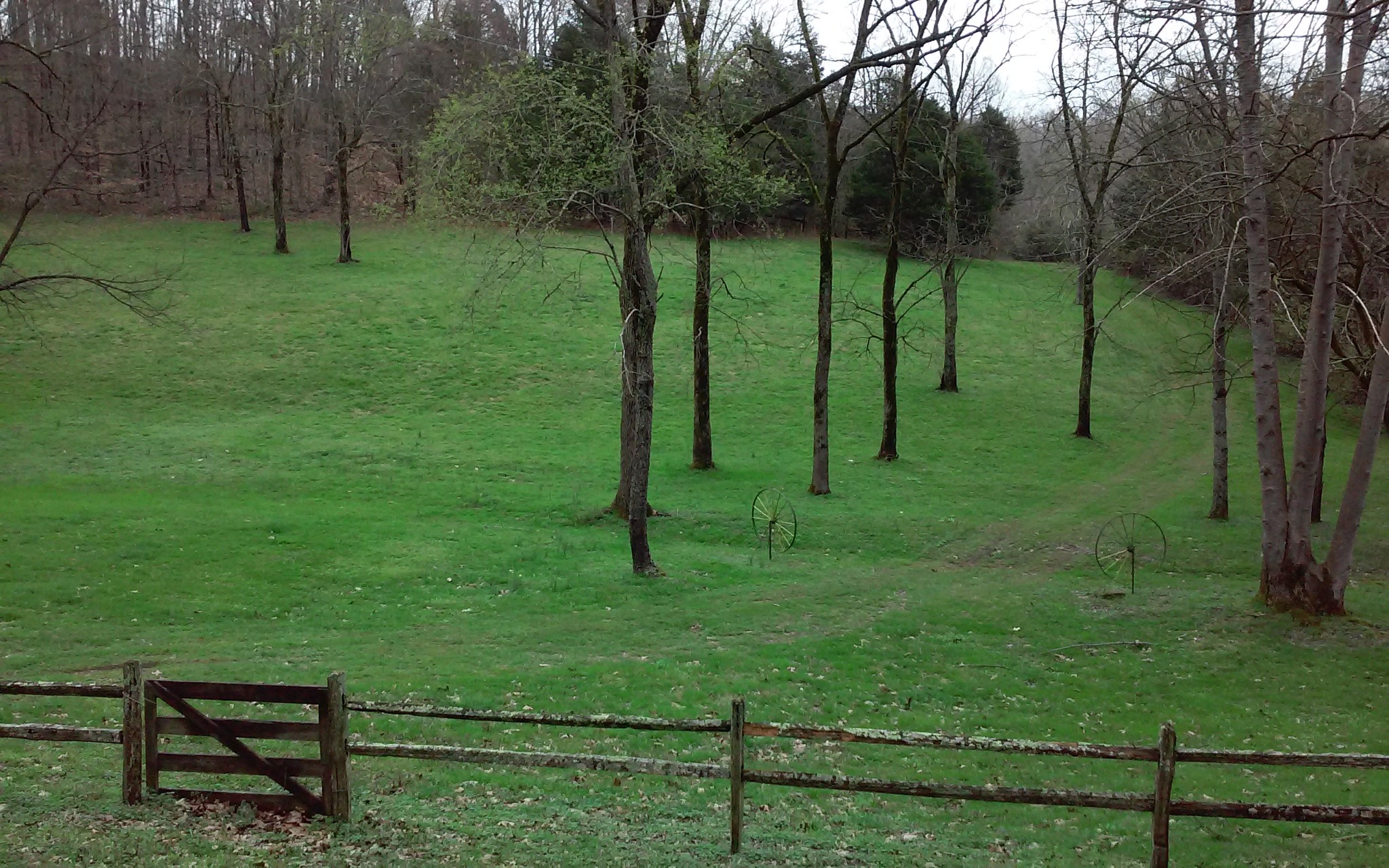 8200 Bethel Road Prospect, TN 38477 - Photo 7 of 50 a view of a park with large trees