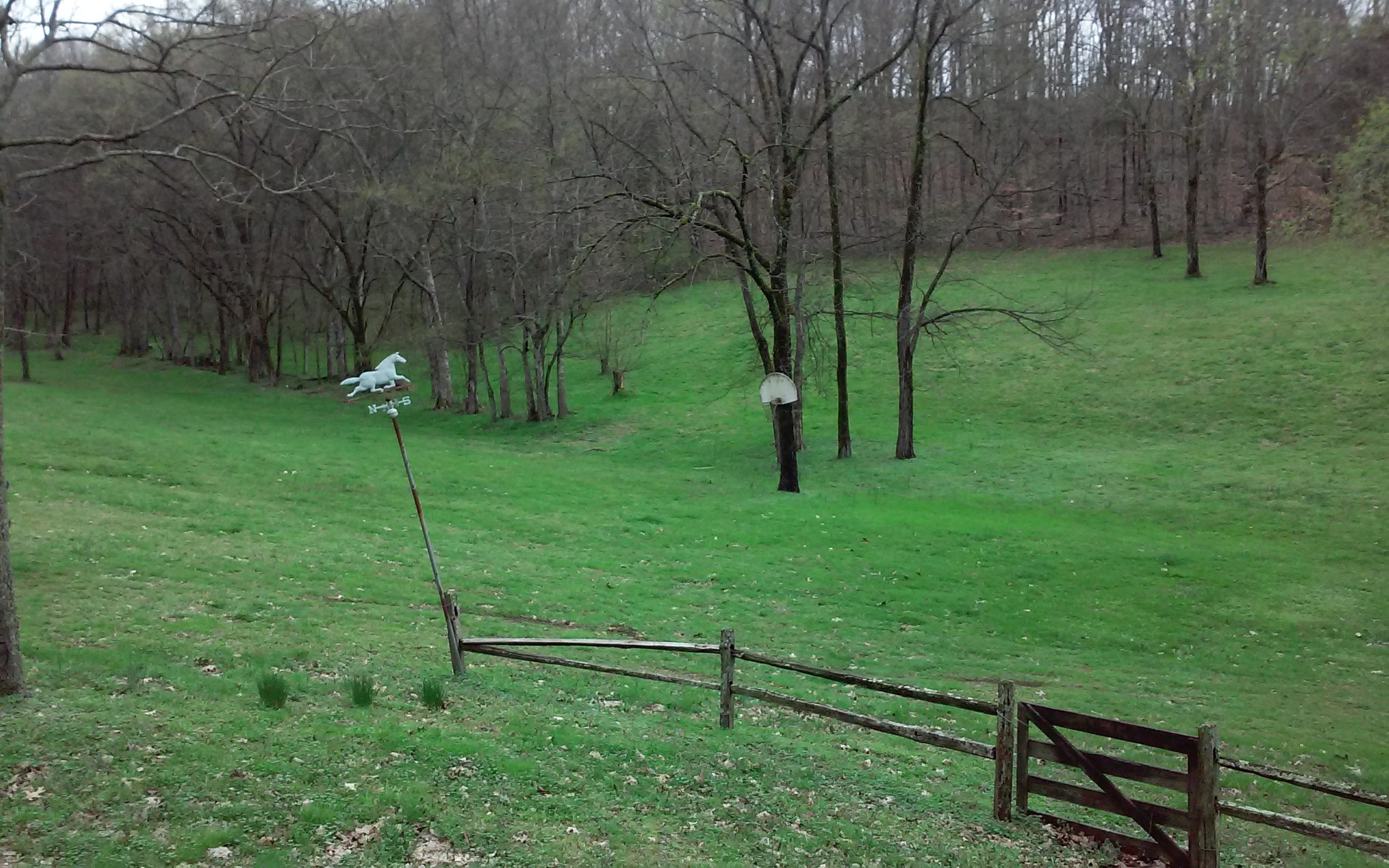 8200 Bethel Road Prospect, TN 38477 - Photo 8 of 50 a view of an outdoor space