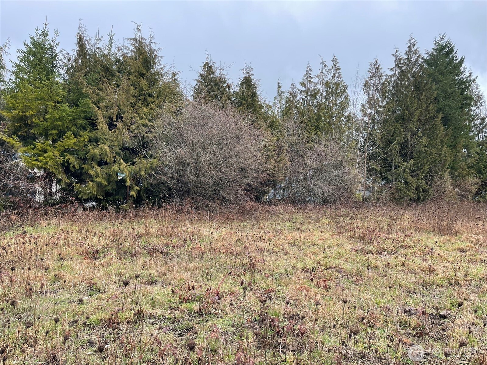 45075 Cedar Street Concrete, WA 98237 - Photo 3 of 18