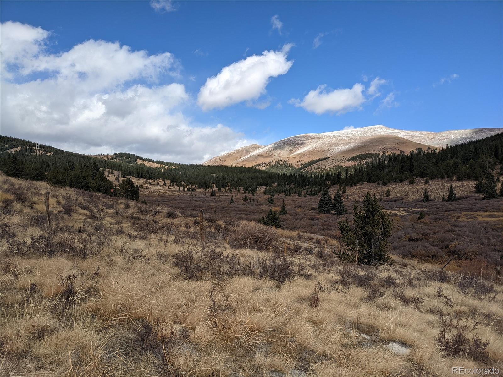 0 Snow Cap Peaks Road Fairplay, CO 80440 - Photo 19 of 20