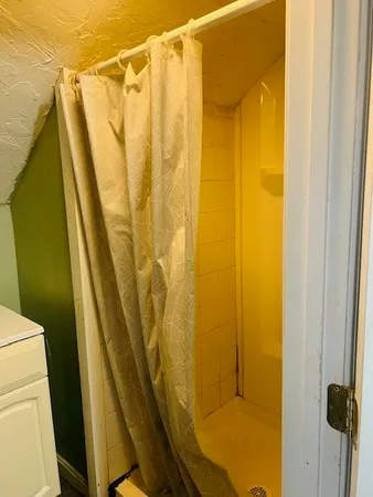 a bathroom with a shower and toilet