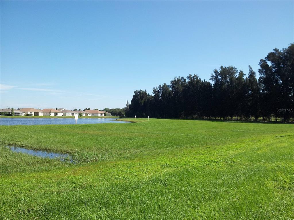 a view of field with grass