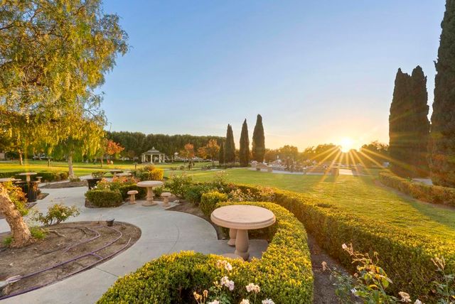 a view of a garden with flowers