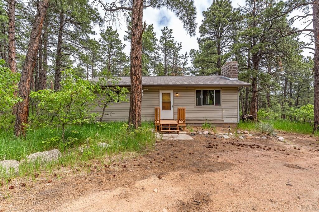 8155 Birch Drive Rye, CO 81069 - Photo 20 of 35 Gallery Image 20