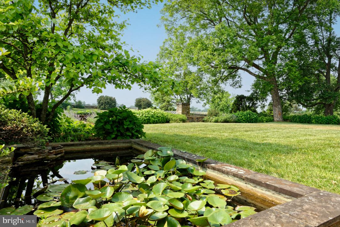 2224 Crenshaw Road Upperville, VA 20184 - Photo 37 of 50 Ornamental lily pond has lily pads & goldfish
