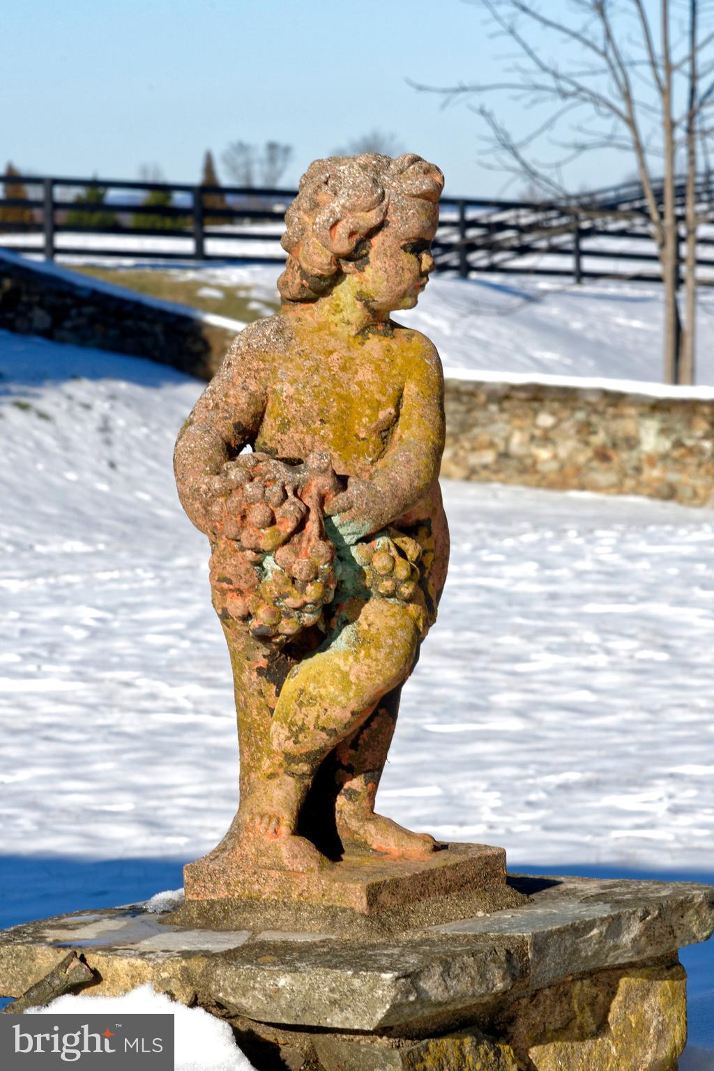 2224 Crenshaw Road Upperville, VA 20184 - Photo 39 of 50 Garden sculpture captured in winter