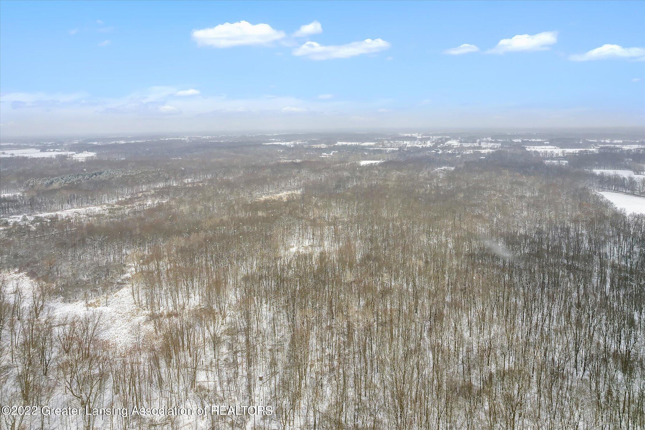 4515 South Williams Road Stockbridge, MI 49285 - Photo 45 of 62 Aerial
