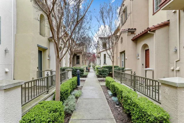 a view of a pathway with a garden