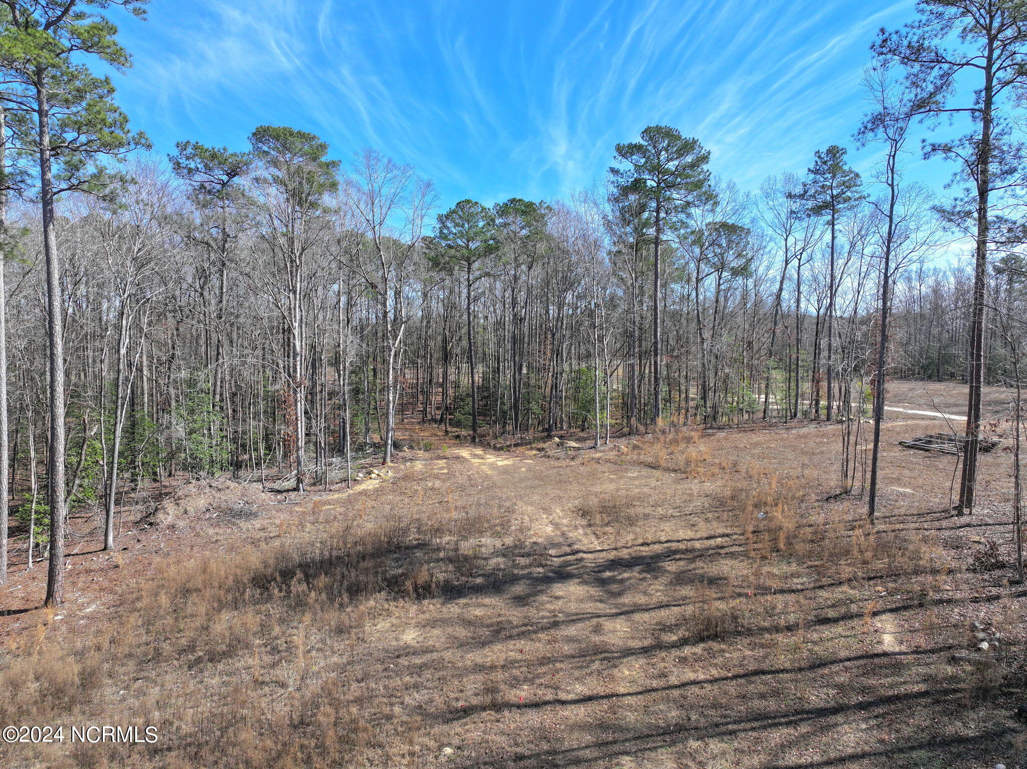 8285 Boy Scout Road Bailey, NC 27807 - Photo 3 of 13 12-web-or-mls-DJI_20240218180644_0027_D