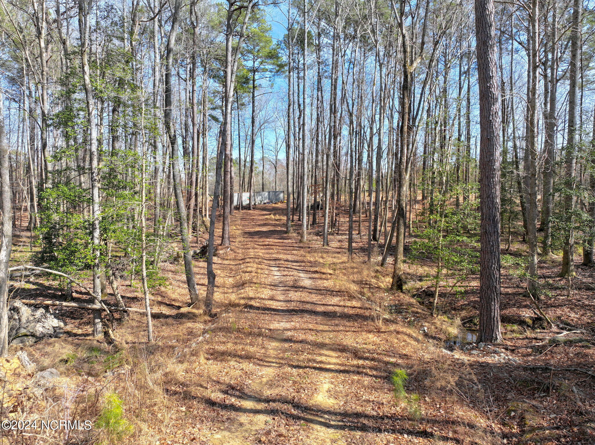 8285 Boy Scout Road Bailey, NC 27807 - Photo 4 of 13 16-web-or-mls-DJI_20240218180754_0031_D