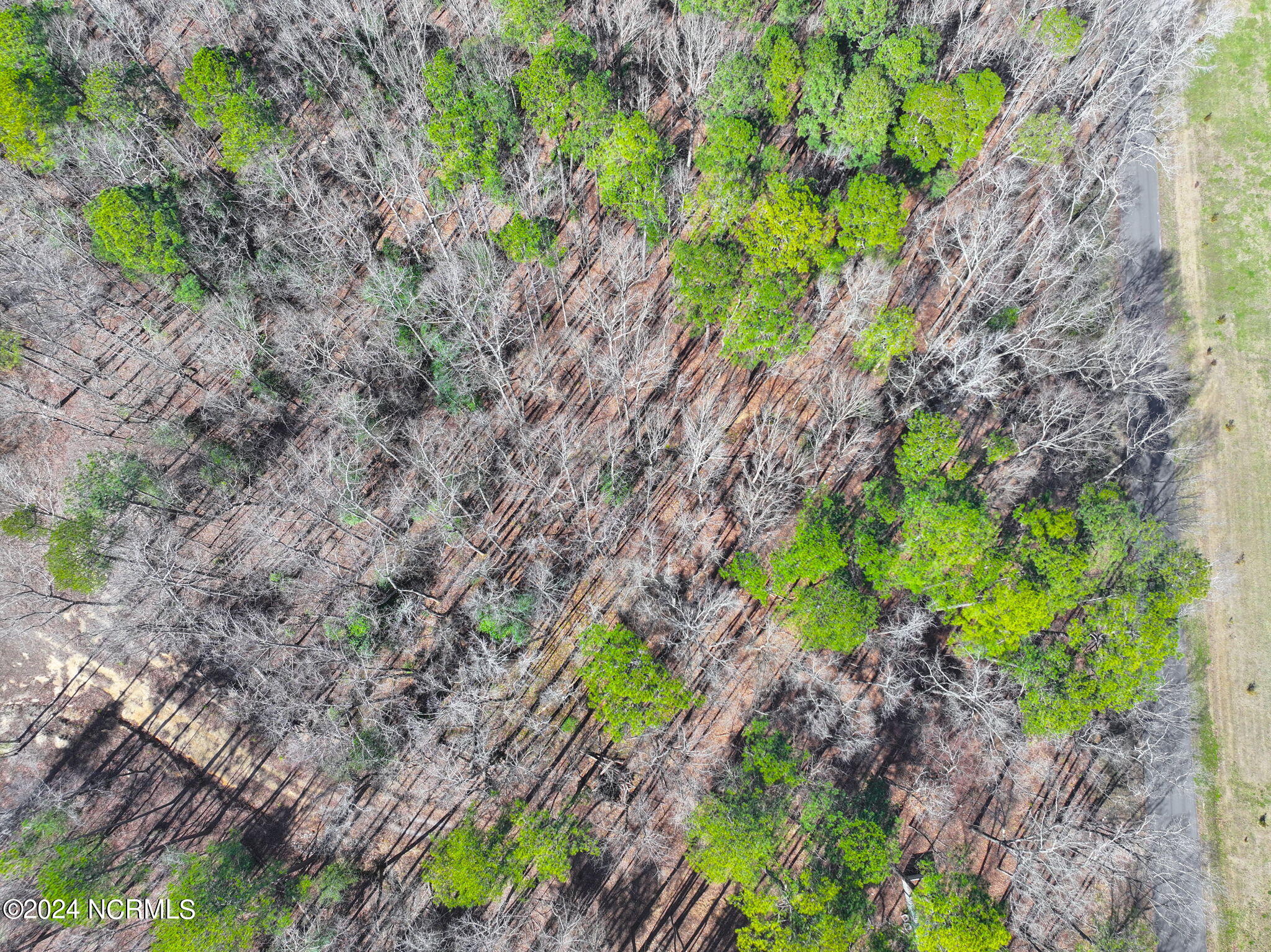 8285 Boy Scout Road Bailey, NC 27807 - Photo 7 of 13 6-web-or-mls-DJI_20240218180413_0021_D