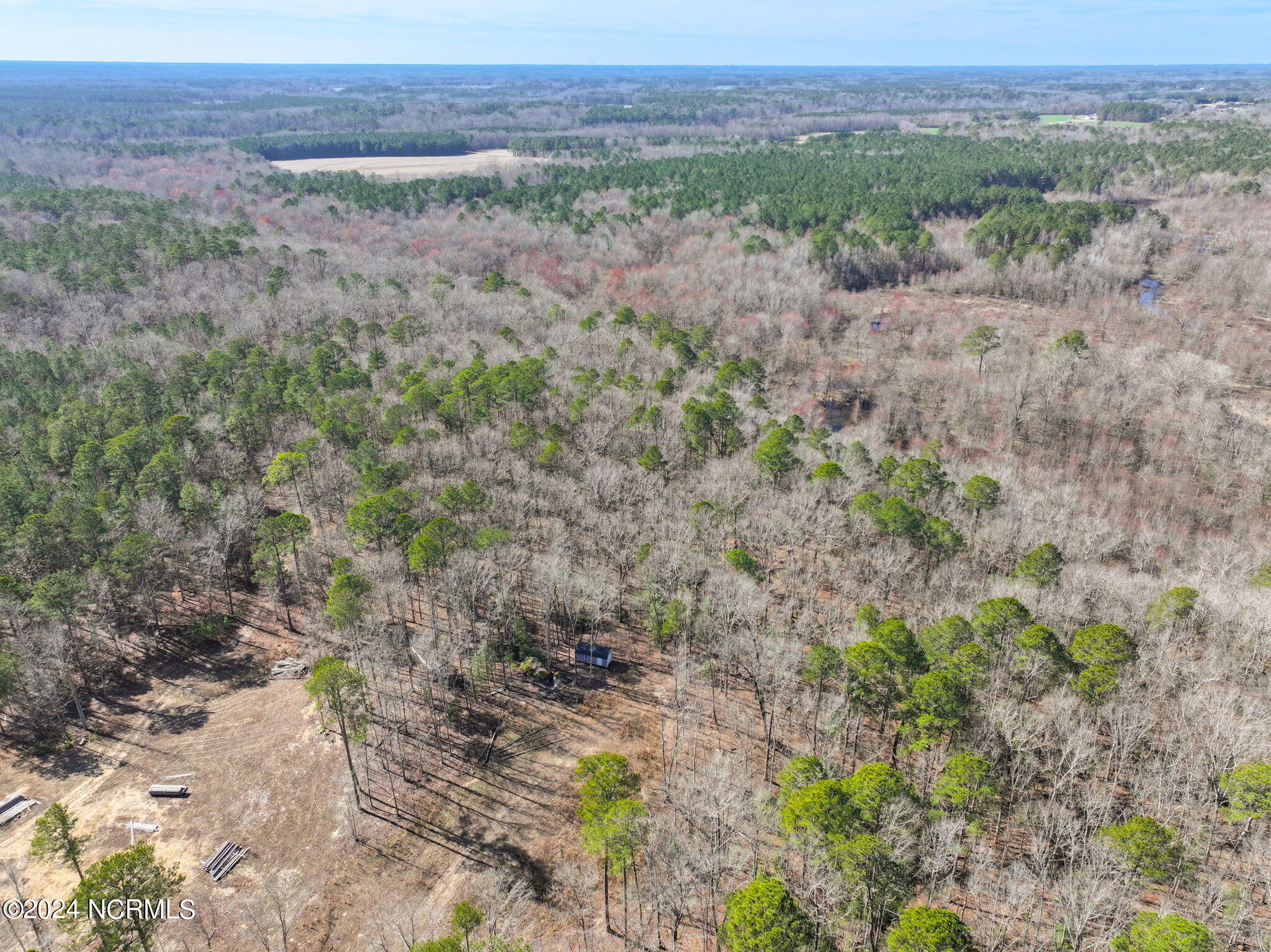 8285 Boy Scout Road Bailey, NC 27807 - Photo 8 of 13 7-web-or-mls-DJI_20240218180425_0022_D