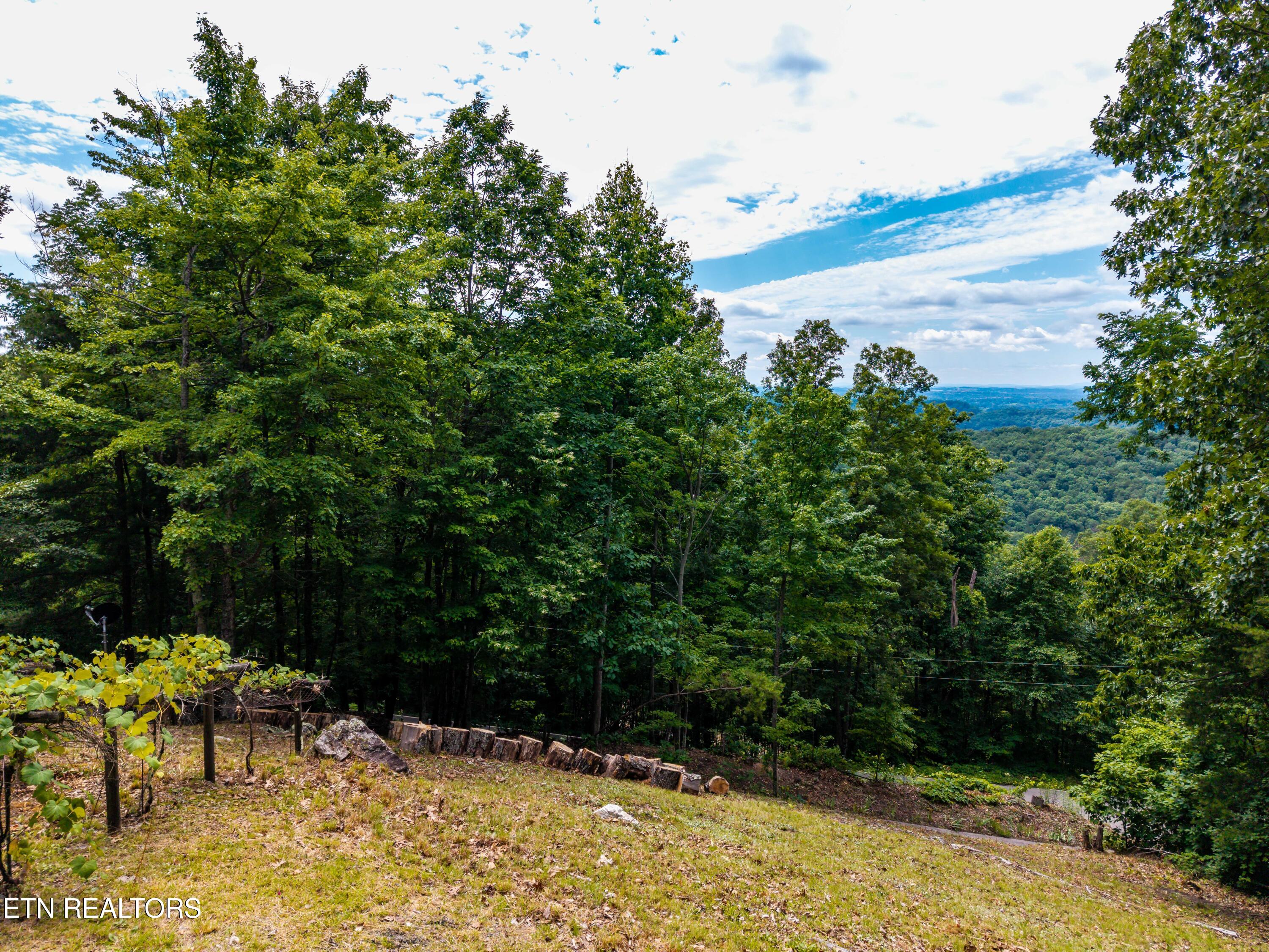 4839 Butterfly Gap Road Maryville, TN 37803 - Photo 5 of 52 4839ButterflyGapRd-16