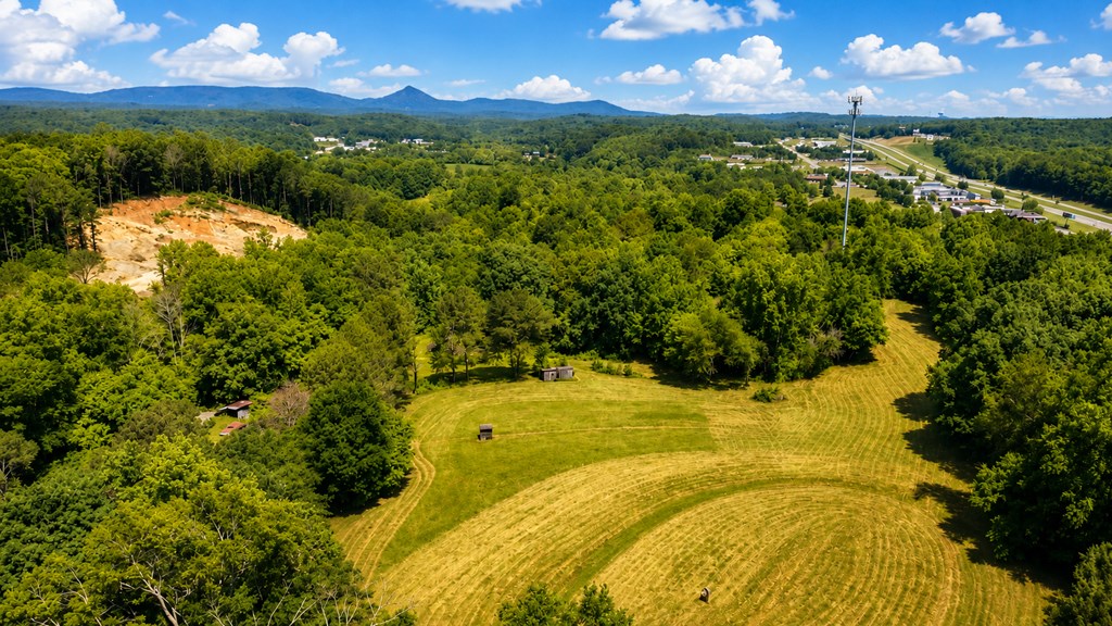 773 Fairview Road Jasper, GA 30143 - Photo 24 of 73