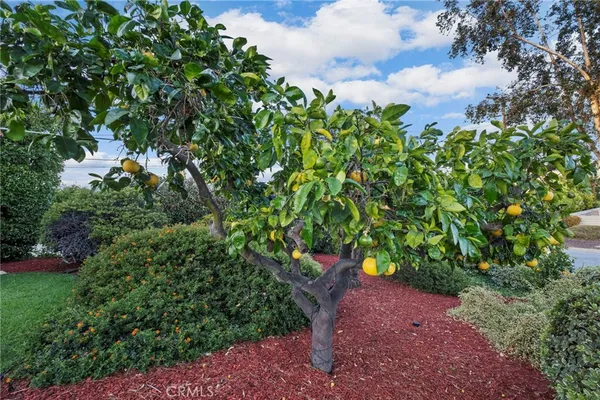$1,316,180 | 1618 Alapat Drive, Escondido, CA 92027
