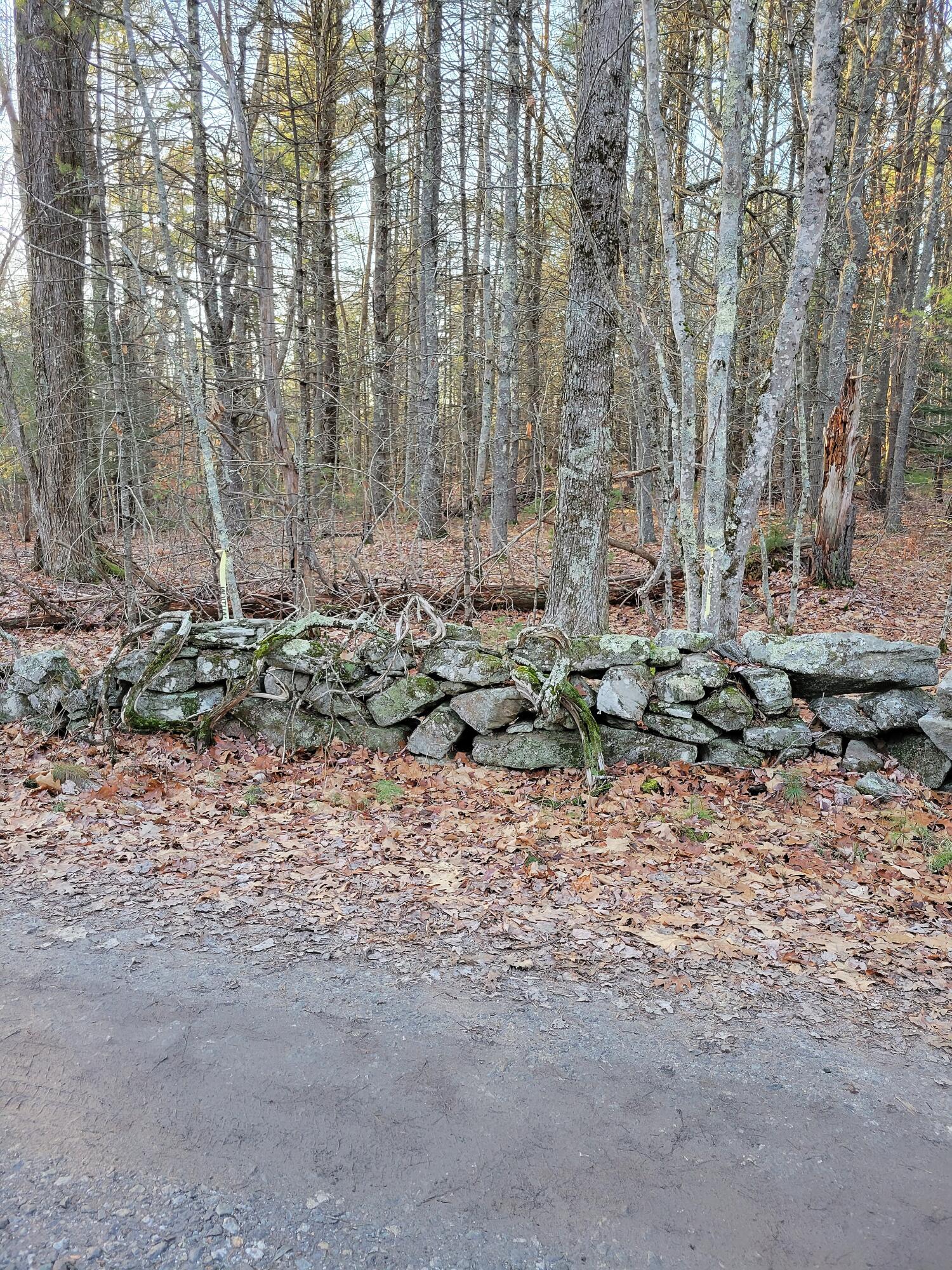 0 Henry Road Georgetown, ME 04548 - Photo 1 of 4 20211201_150208