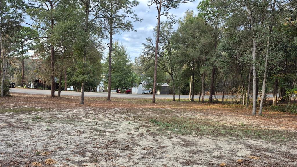 6334 Little Lake Geneva Road Keystone Heights, FL 32656 - Photo 4 of 10 a view of road with trees