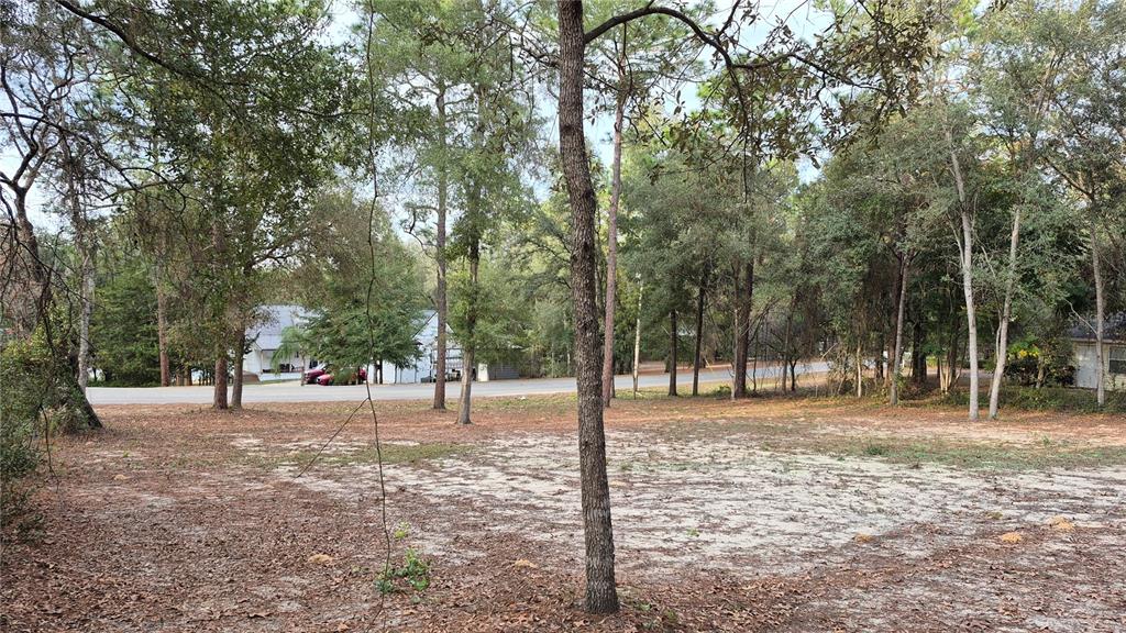 6334 Little Lake Geneva Road Keystone Heights, FL 32656 - Photo 5 of 10 a view of road with trees