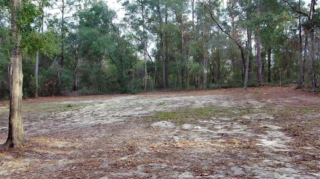 6334 Little Lake Geneva Road Keystone Heights, FL 32656 - Photo 6 of 10 a view of a yard with trees