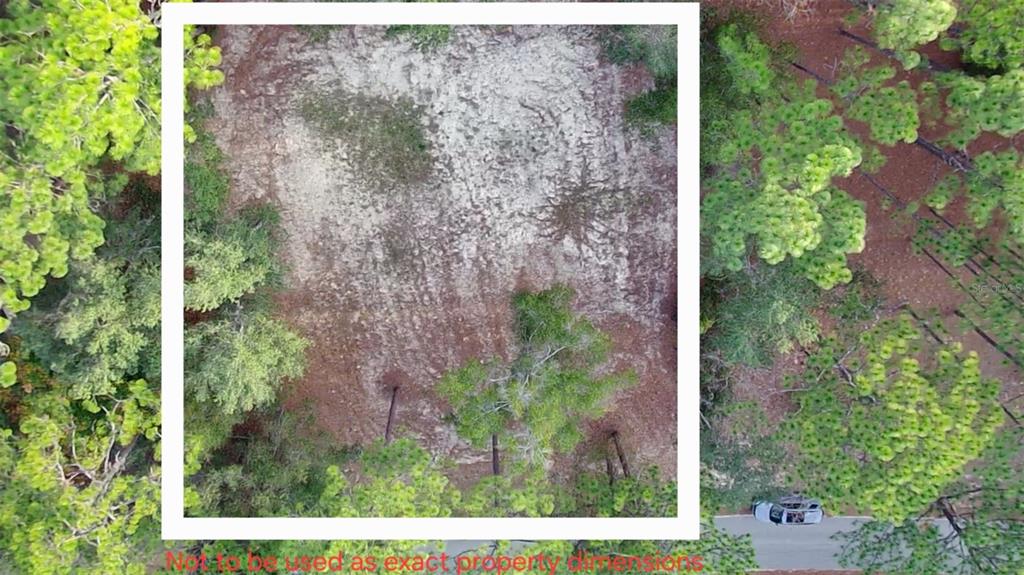 6334 Little Lake Geneva Road Keystone Heights, FL 32656 - Photo 8 of 10