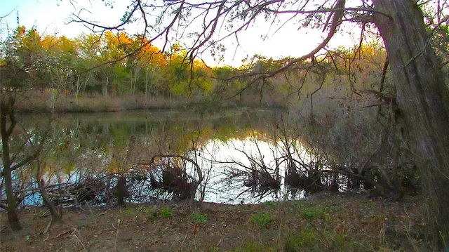 a backyard of a house with lots of green space and lake view