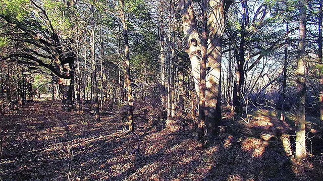 a view of an outdoor space