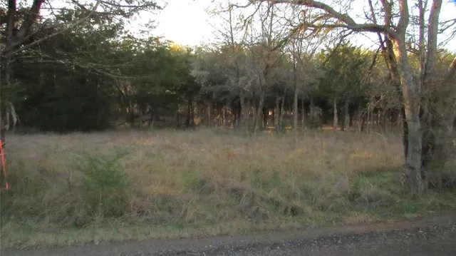 a view of a dry yard with trees