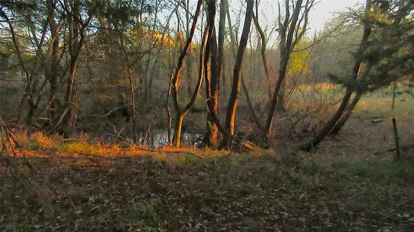 a view of outdoor space with trees