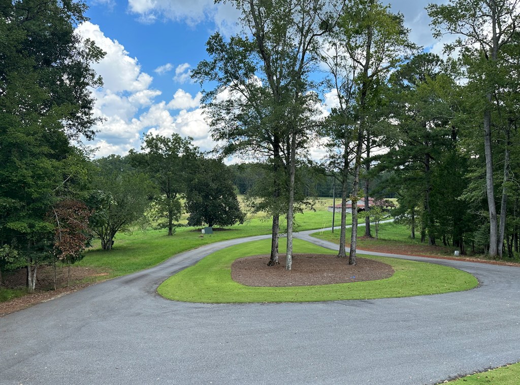 221 Harrisville Road Hamilton, GA 31811 - Photo 3 of 38