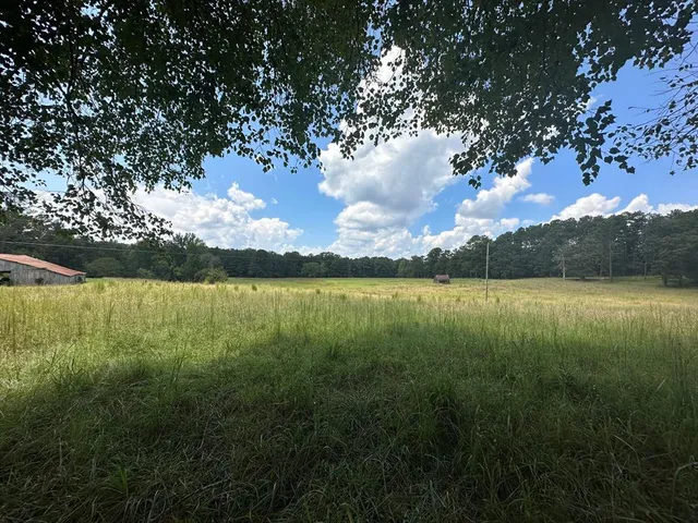 $2,300,000 | 221 Harrisville Road, Hamilton, GA 31811