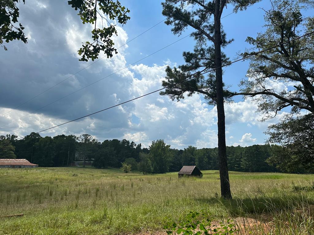 221 Harrisville Road Hamilton, GA 31811 - Photo 36 of 38