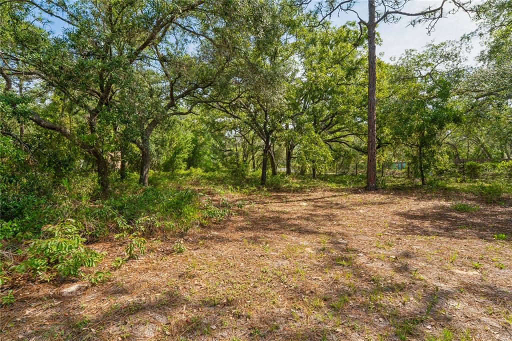 14345 Missouri Skylark Road Weeki Wachee, FL 34614 - Photo 33 of 46