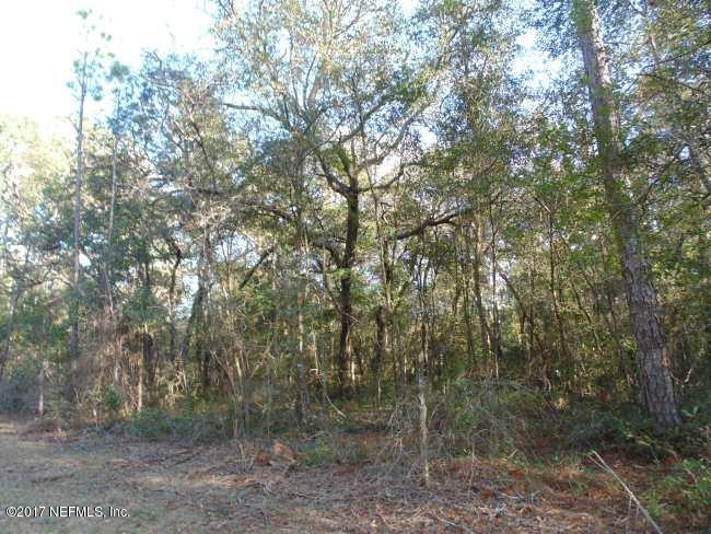 0 Forest Hills Road Melrose, FL 32666 - Photo 5 of 13 2