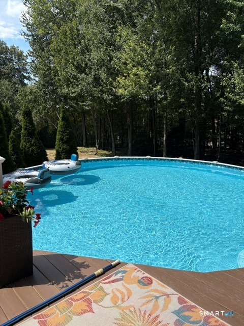 68 Doris Road Bristol, CT 06010 - Photo 31 of 31 a view of a backyard with a garden
