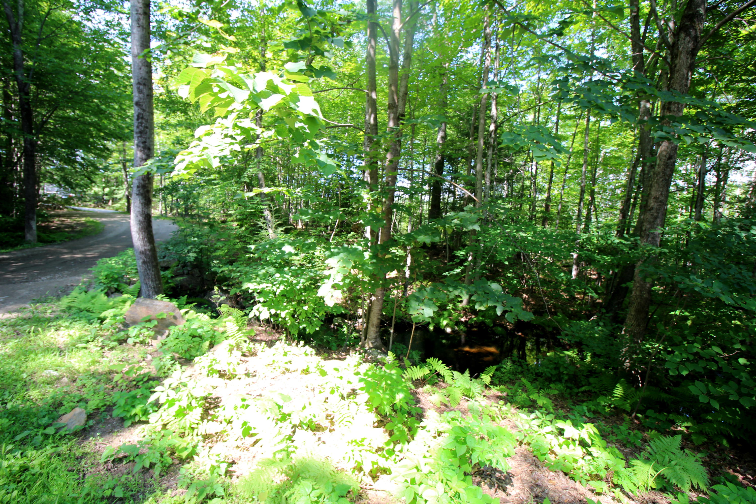 80 McLucas Road Waterboro, ME 04030 - Photo 42 of 44 025