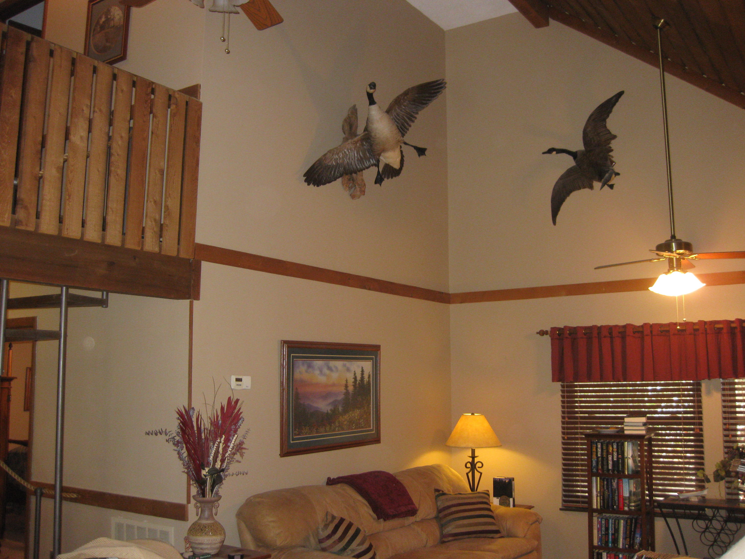 650 Brooksview Road Lenoir City, TN 37772 - Photo 20 of 31 IMG_5918