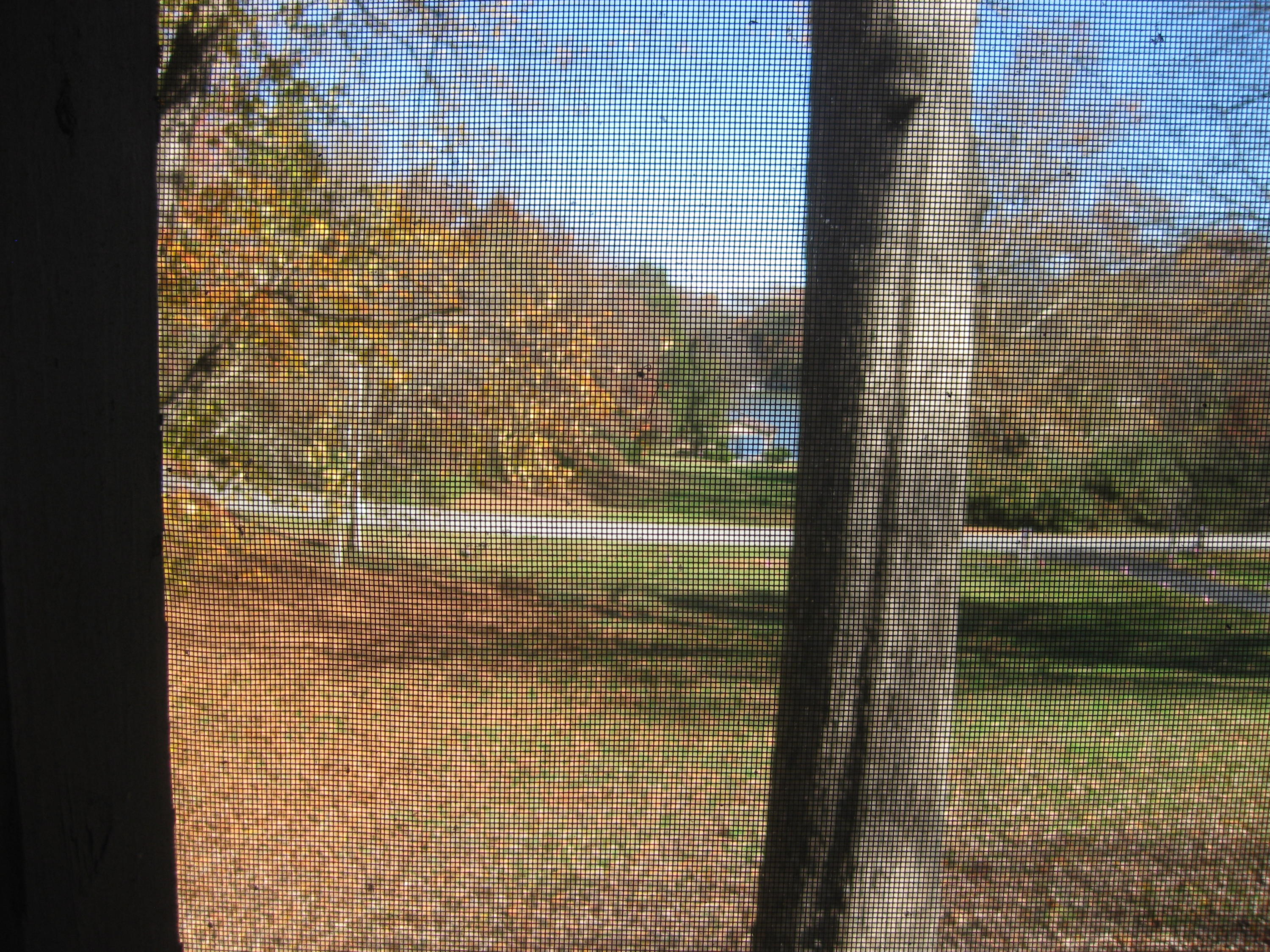 650 Brooksview Road Lenoir City, TN 37772 - Photo 26 of 31 IMG_5910