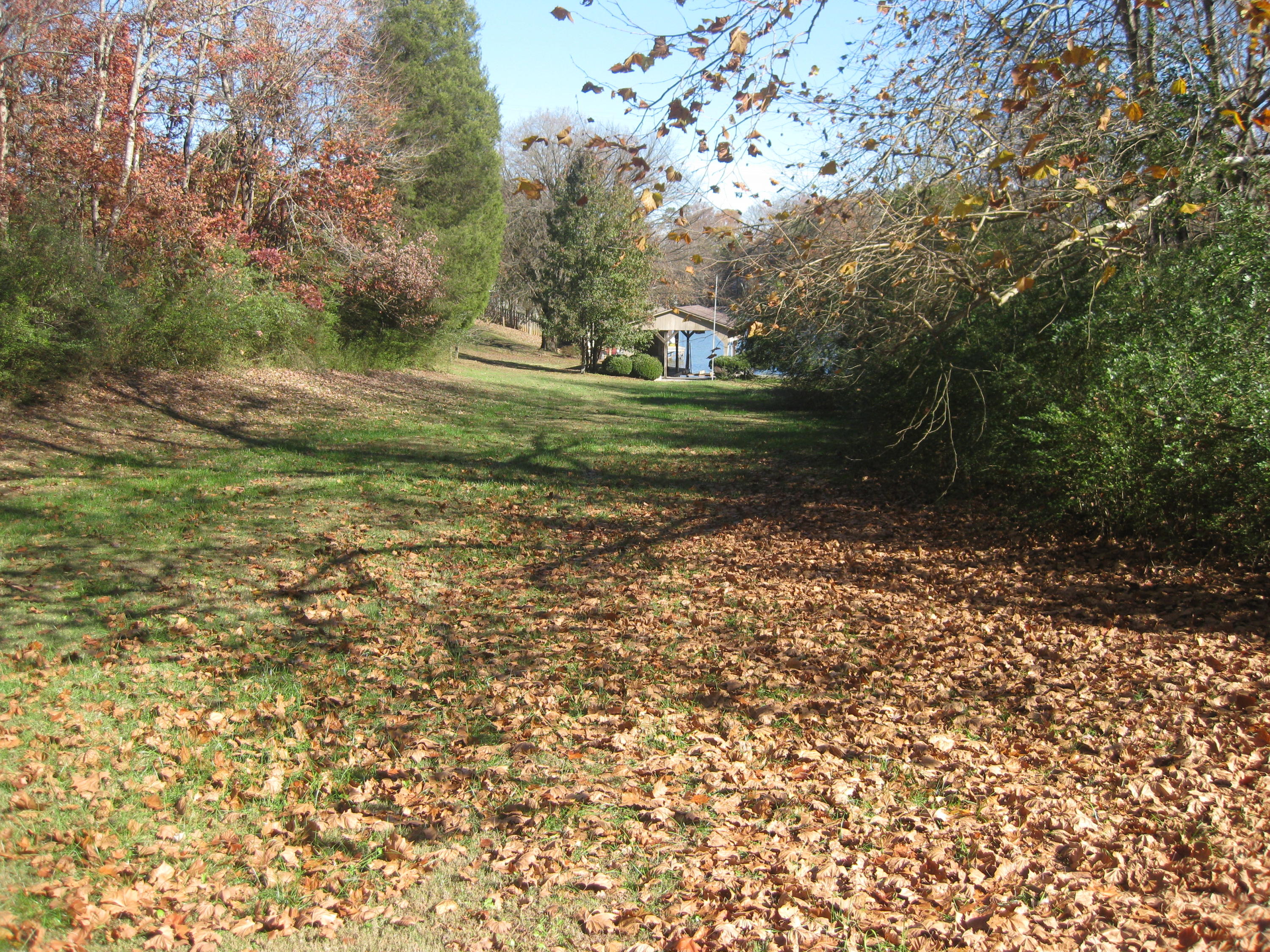 650 Brooksview Road Lenoir City, TN 37772 - Photo 7 of 31 IMG_5900