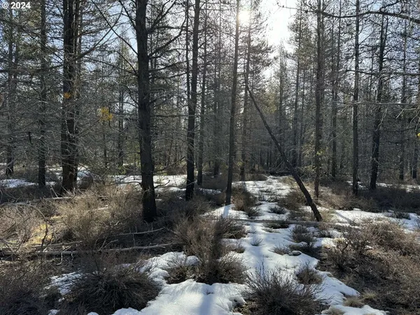 $19,000 | Scott View Drive, Chiloquin, OR 97624