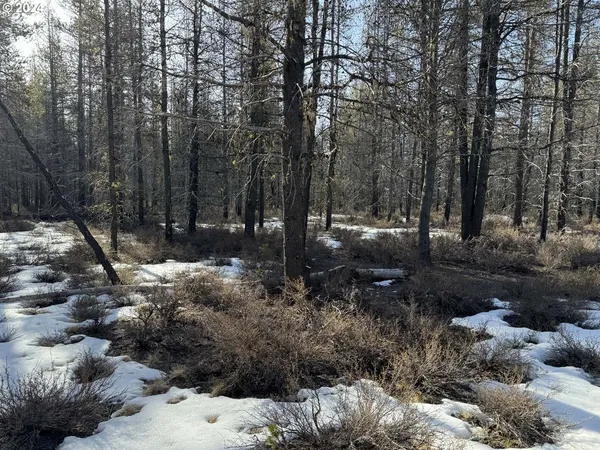 $19,000 | Scott View Drive, Chiloquin, OR 97624