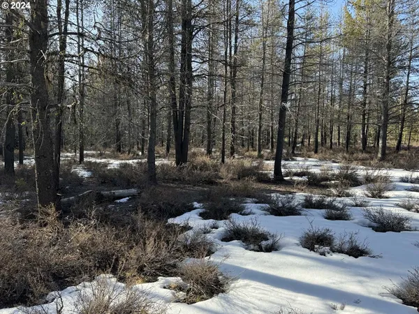 $19,000 | Scott View Drive, Chiloquin, OR 97624