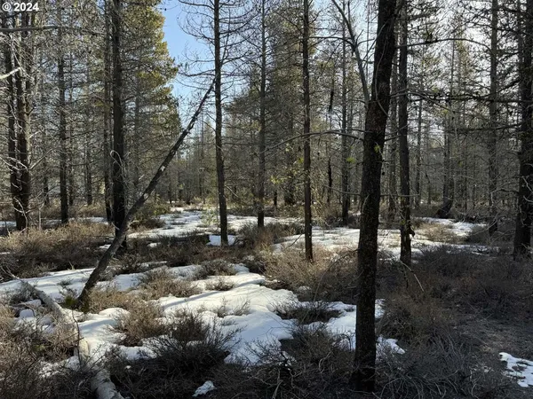 $19,000 | Scott View Drive, Chiloquin, OR 97624