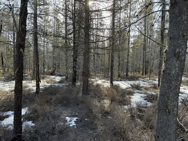 $19,000 | Scott View Drive, Chiloquin, OR 97624