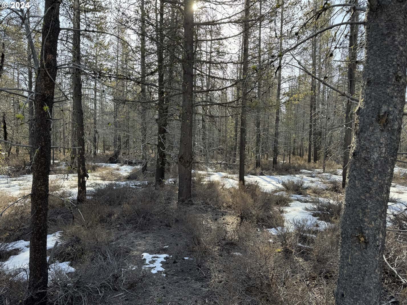 Scott View Drive Chiloquin, OR 97624 - Photo 16 of 24 a view of outdoor space with trees