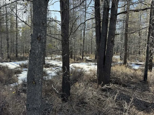 $19,000 | Scott View Drive, Chiloquin, OR 97624