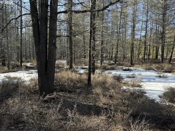 $19,000 | Scott View Drive, Chiloquin, OR 97624