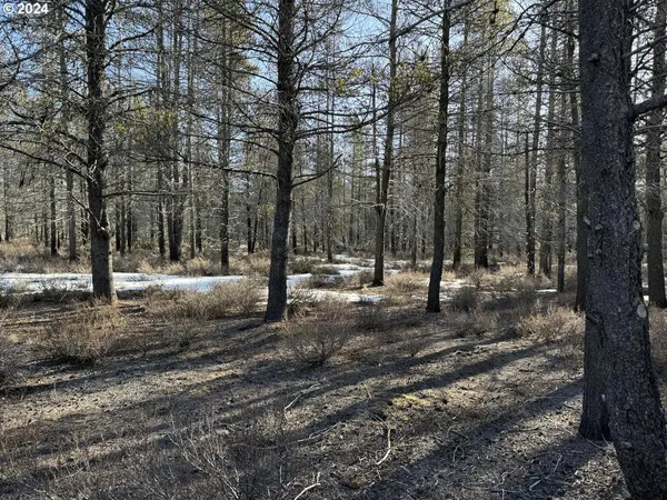 $19,000 | Scott View Drive, Chiloquin, OR 97624